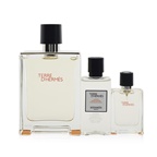 Hermes Terre D'Hermes Coffret: EDT Spray 100ml + EDT Spray 12.5ml + After-Shave Lotion 40ml