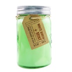 Paddywax Relish Candle - White Birch + Mint