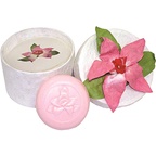 Clover Fields Gift Box Hibiscus Pamper Pack (contains: bath salts & soap)