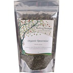 Healing Concepts Teas Healing Concepts Organic Spearmint Tea