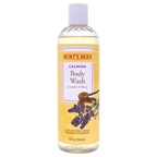Burt's Bees Calming Lavender and Honey Body Wash