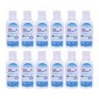 Insignia Insignia Hand Sanitizer - Pack of 12